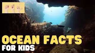 ASL Ocean Facts for Kids