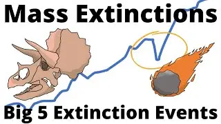 Big 5 Mass Extinction Events