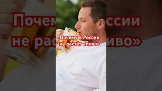 Хмель в России: МИФЫ и РЕАЛЬНОСТЬ