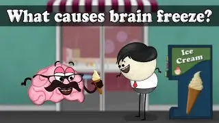 What causes brain freeze? | #aumsum #kids #science #education #children