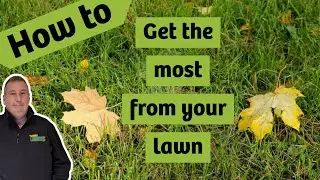 4 Things you can do for your lawn this Autumn or fall | How to get a the most from your lawn