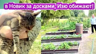 Купили яйцо дракона в Нововоронеже, мои заморозки на зиму, что с полом сделал муж