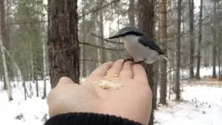 Природный парк Оленьи ручьи / Nature Park Deer streams