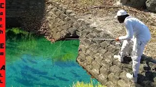 FISHING Hidden DRAINAGE DITCH WATER INVASIVE FISH!