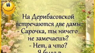 "На Дерибасовской встречаются две дамы..." Анекдоты! Одесский ЮМОР! Позитив для Вас!))