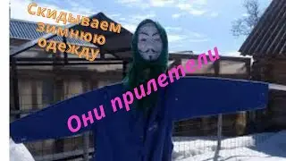 Первые посадки в теплицу//Скидываем зимнюю одежду//Пчелы и не только//Скворцы прилетели