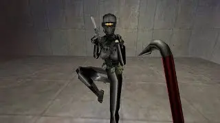 Half-Life - Female Assassin Overview