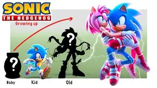 SONIC Growing up 2024 Compilation | Cartoon Wow