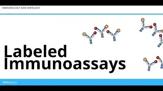 Labeled Immunoassays | An Overview