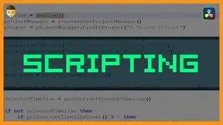 Basic Scripting DaVinci Resolve