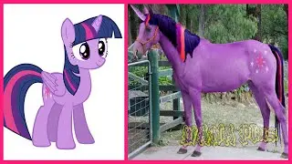 My Little Pony All Characters IN REAL LIFE 👉