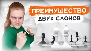 Преимущество двух слонов | Правила эндшпиля