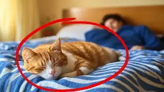 SHOCKING: Does Your Cat Sleep at Your Feet? Here's What It Means