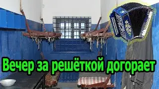 Вечер за решеткой догорает