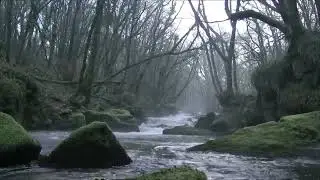 Ghost caught on camera in daylight on a Scottish river.