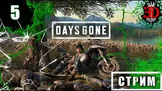 Days Gone-Серия 5(Приключения продолжаются)