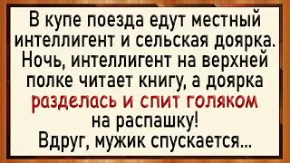 Как интеллигент на доярку накинулся! Сборник свежих анекдотов! Юмор!