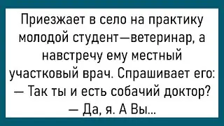 💎Два Мужика Стоят На Пригорке...Большой сборник Смешных Анекдотов,Для Супер Настроения!