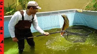 POWER FEEDING MONSTER FISH into NEW HOME!