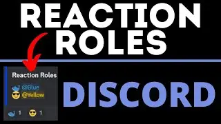 How to Make Reaction Roles on Discord - 2023