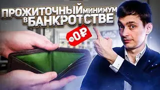 Прожиточный минимум в банкротстве! Что получит должник в процедуре списания долгов