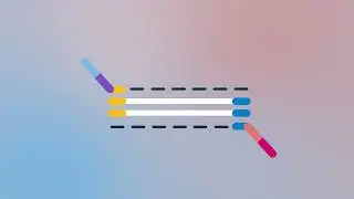 Illumina Target Enrichment Workflow