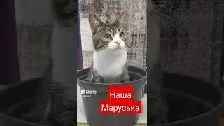 Маруся