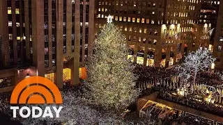 Meet the 2021 Rockefeller Center Christmas Tree