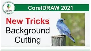 How to Remove and Cutting Background in CorelDraw and Corel Photo Paint New Tricks by, Amjad