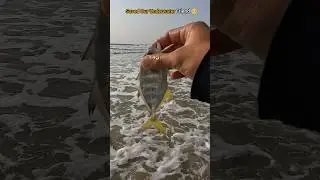 WOW! Saved fish life during my beach walk 🥺