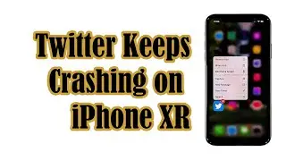 How To Fix Twitter That Keeps Crashing on iPhone XR After iOS 14.2