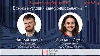 Базовые условия венчурных сделок в IT - Николай Горелик и Анастасия Акулич