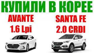 Купили SANTA FE 2.0 EXCLUSIVE и AVENTE 1.6 Lpi Smart в Корее. AdvisorAuto - Авто из Кореи