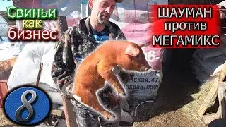 ЧТО ЛУЧШЕ - ШАУМАН ИЛИ МЕГАМИКС?