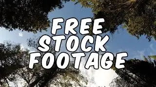 Sky and Trees GoPro 1080P HD FREE Stock Time Lapse Footage