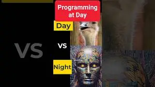 Programming at Day vs Night 🌙