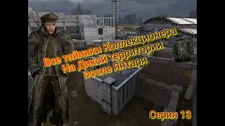 S.T.A.L.K.E.R. ОП 2.1-2.2 Все тайники Коллекционера на Дикой Территории после Янтаря