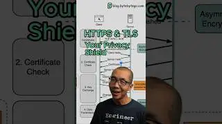 HTTPS & TLS: Your Privacy Shield  #javascript #python #web #coding #programming