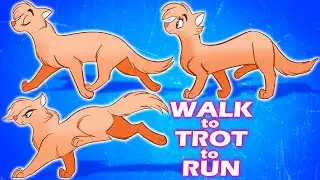 How to CONNECT Walk Trot and Run