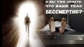 Смерть и бессмертие. На самом деле, всё не так, как нас приучили думать.