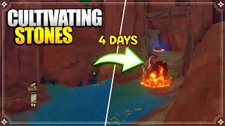 Cultivating Stones - 4 Days Hidden Luxurious Chest | World Quests & Puzzles |【Genshin Impact】