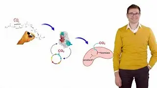 Synthetic Biology: Realizing synthetic carbon dioxide fixation - Tobias Erb