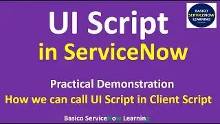 UI Script In ServiceNow || Practical Demonstration - How to Call UI Script From Client Script