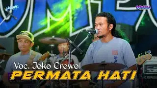 Permata Hati - Joko Crewol ft Omega Music (Live Randu Padangan)