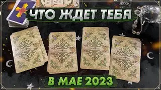 Онлайн гадание на Таро на май 2023 | Карты Таро | Что ждет в мае