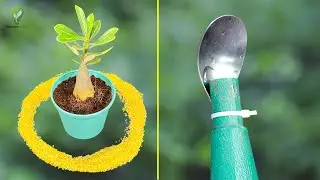 🌱 5 NEW Genius Garden Hacks That Will Save You Hundreds! 🌱