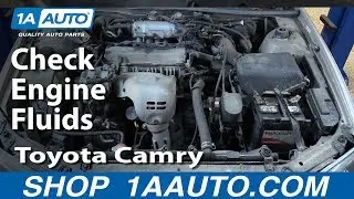 How to Check Your Fluids on a 98-03 Toyota Camry