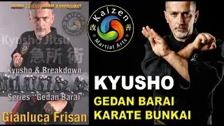 Kyusho Breakdown Gedan Barai Karate Bunkai. Gianluca Frisan