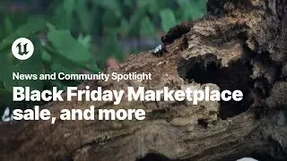 News and Community Spotlight | November 23, 2023 | Unreal Engine