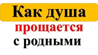 Как душа прощается с родными после своей смерти. Скрытые знаки